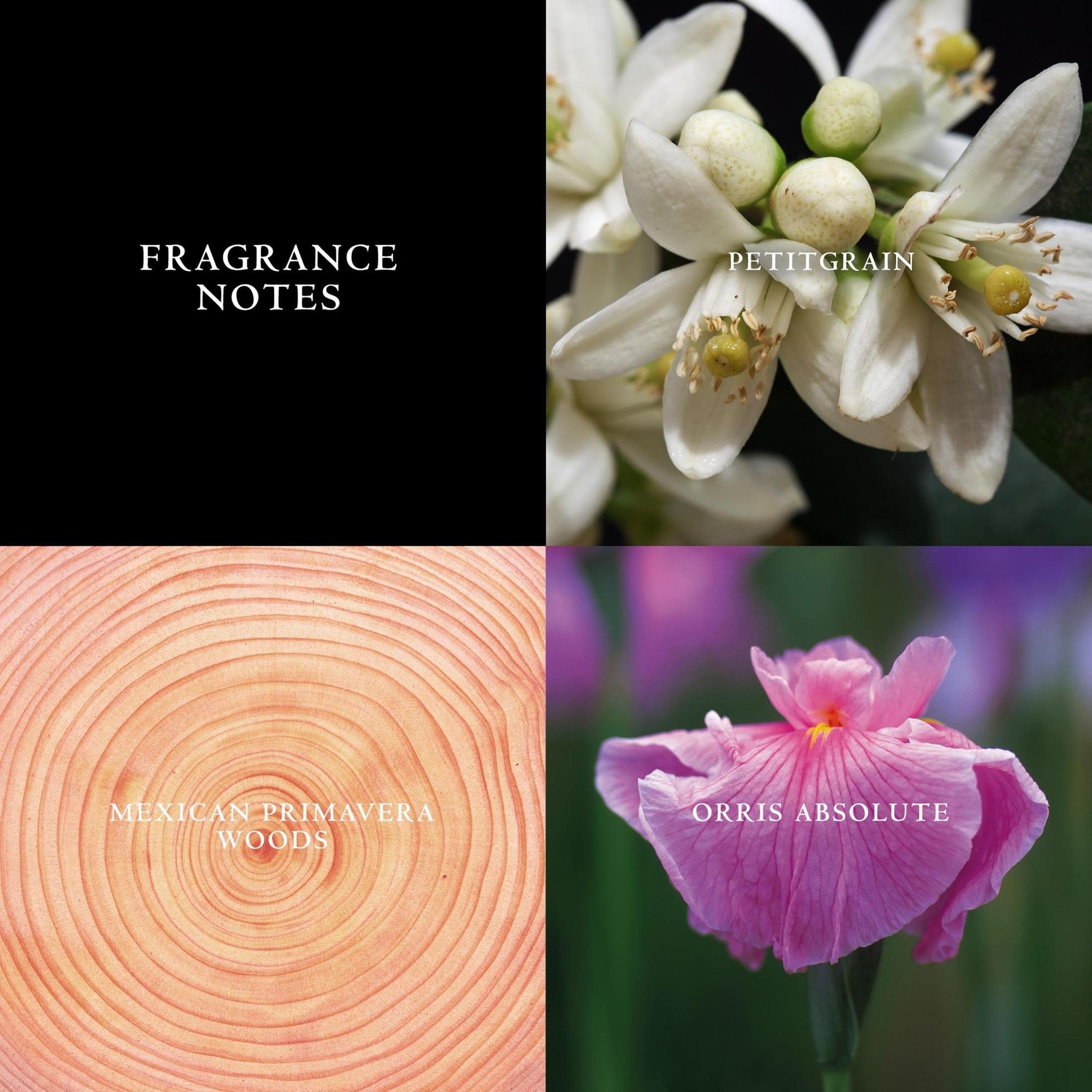 Artisan Pure Eau de Toilette Spray 75mL