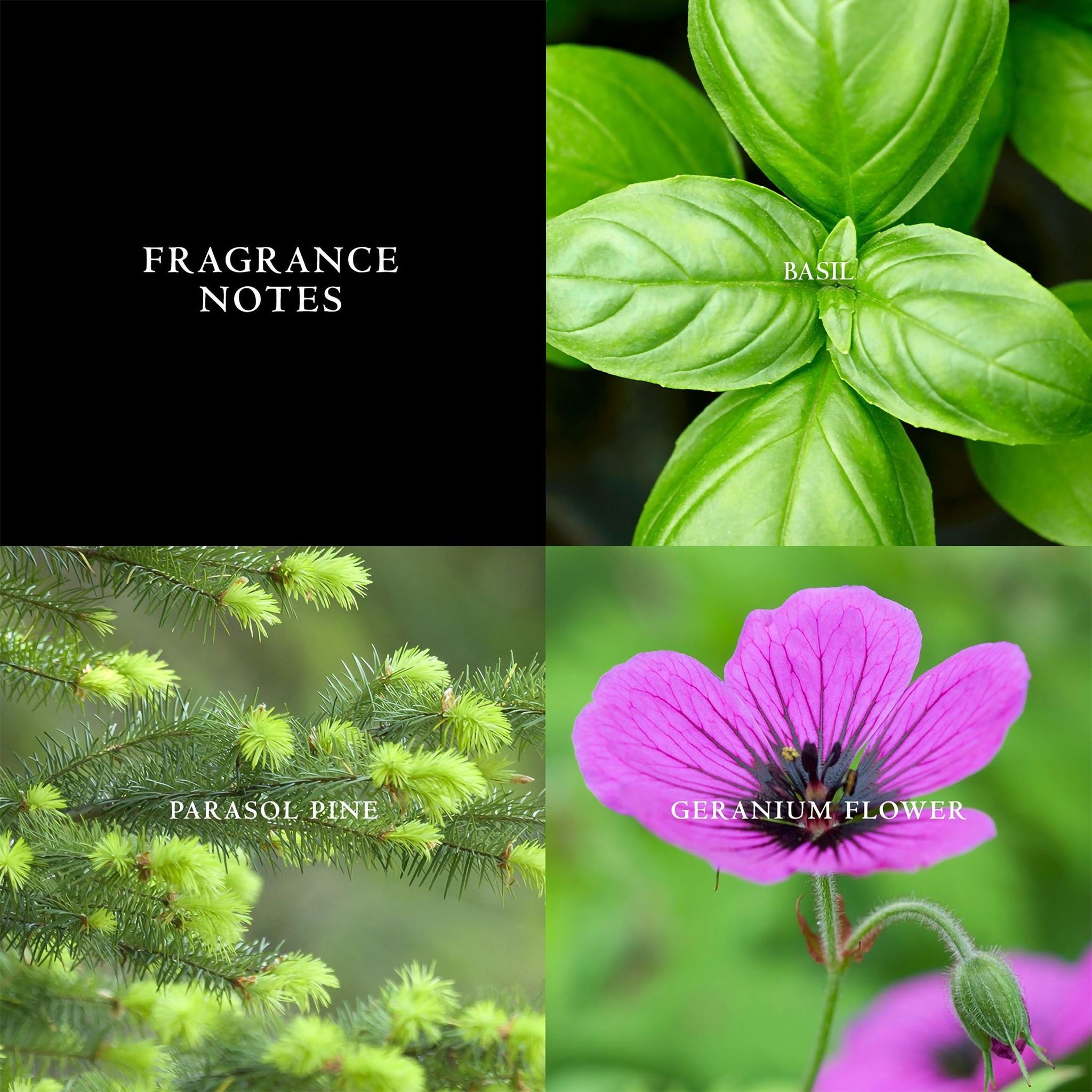 Artisan Blu Eau de Toilette Spray 125mL