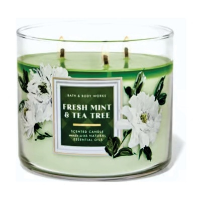 BATH N BODY WORKS Fresh Mint And Tea Tree - 3 Wick Candle