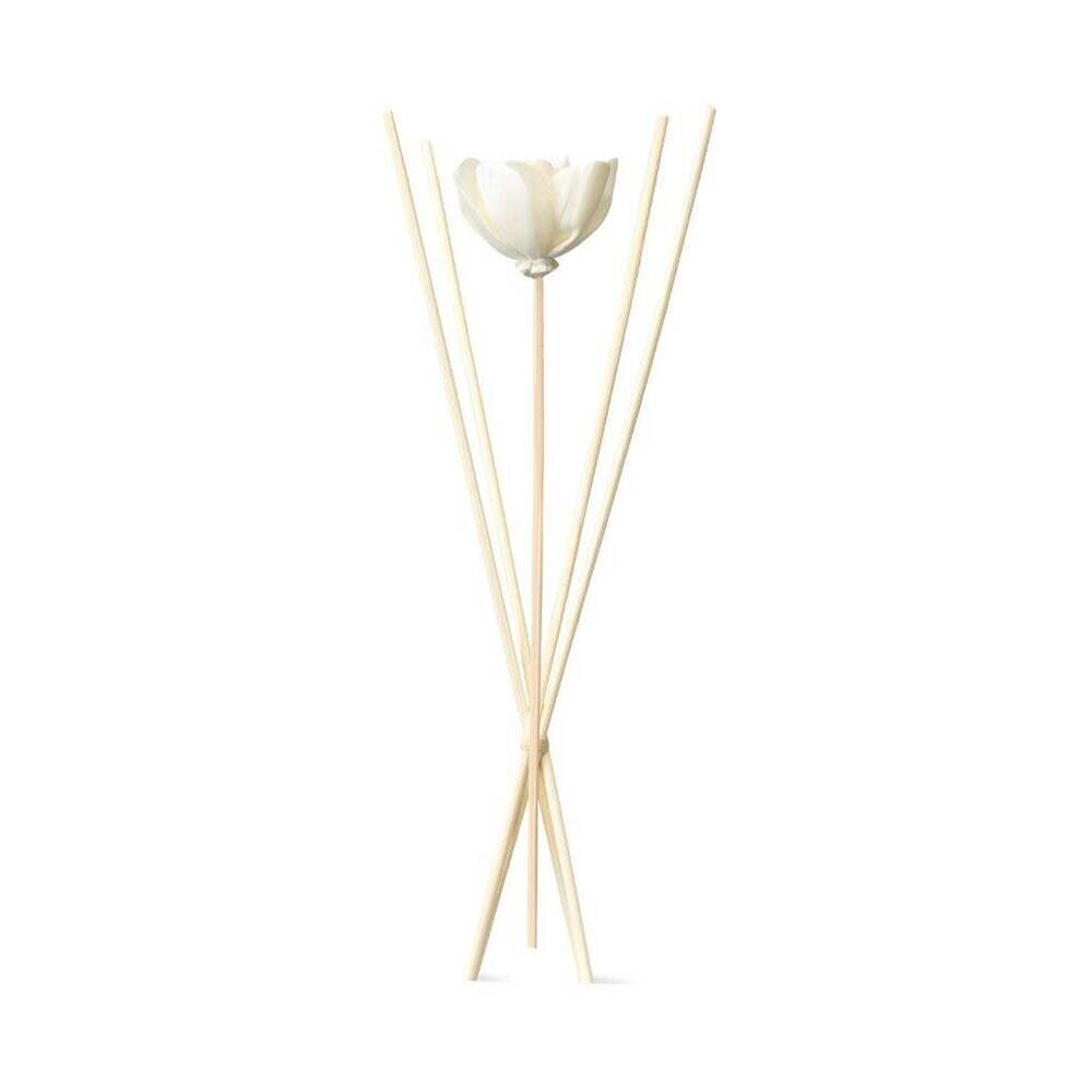 Innisfree - Diffuser Reed Sti (Flower Set) 5ea 5ea