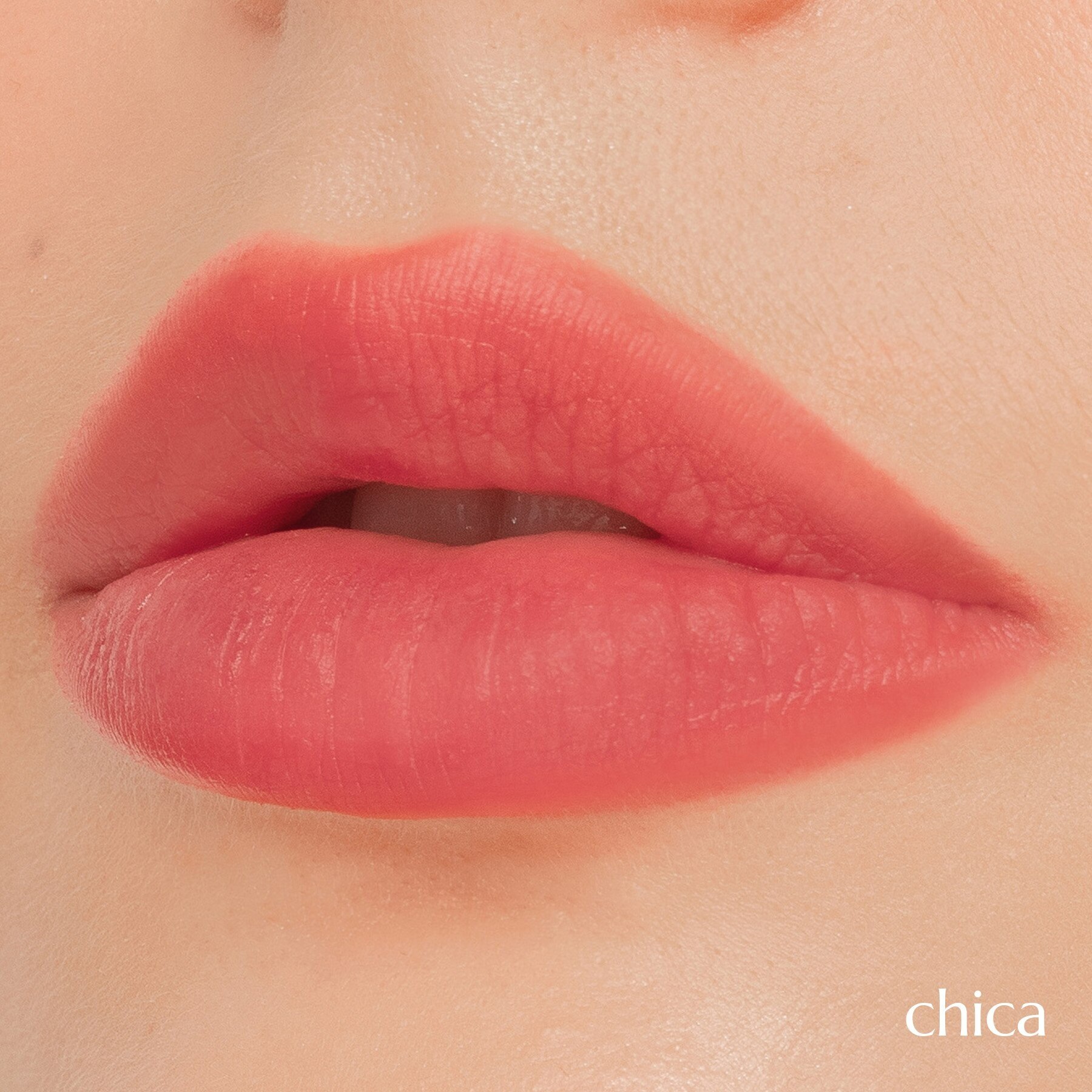 Lip Mallow Plush Matte Lip Tint – Chica