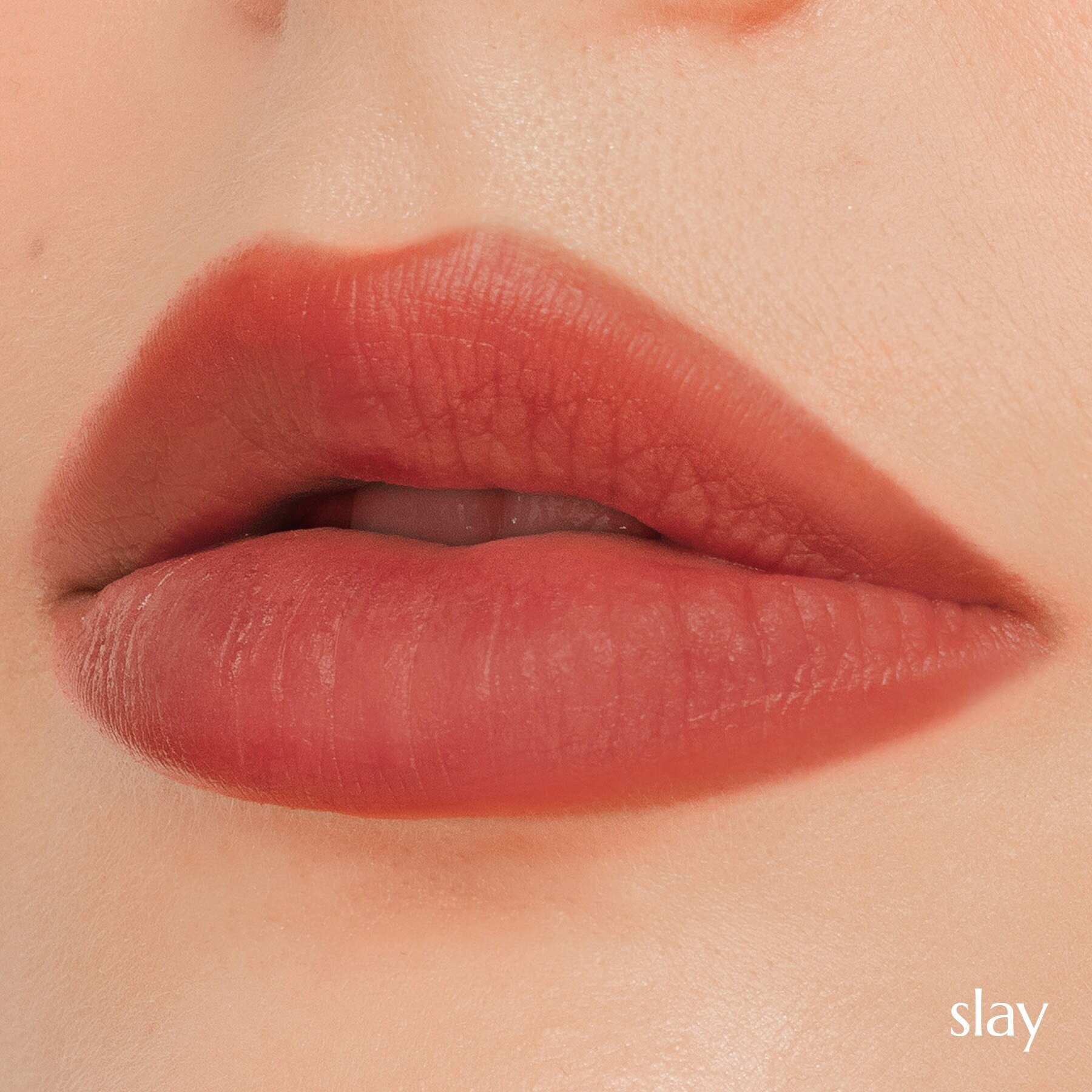 Lip Mallow Plush Matte Lip Tint – Slay
